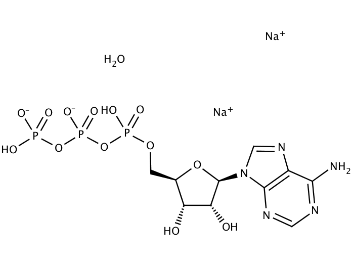 Adenosine 5'-triphosphate Disodium Salt Hydrate [34369-07-8 ...